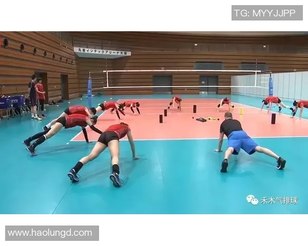 杨敏独家分享排球心得与技巧助你提升竞技水平与团队协作能力 杨敏独家分享排球心得与技巧助你提升竞技水平与团队协作能力