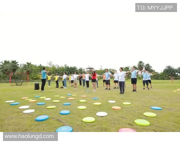 飞盘精神:杭州飞盘队的拼搏与成长之路全景记录 飞盘精神:杭州飞盘队的拼搏与成长之路全景记录