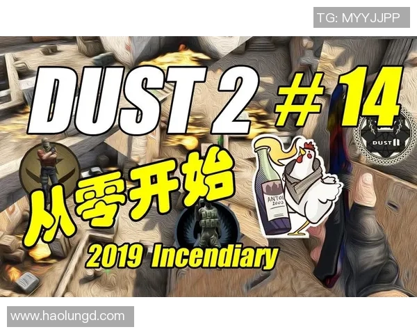 从零开始掌握CSGO团队配合技巧与战术全解析