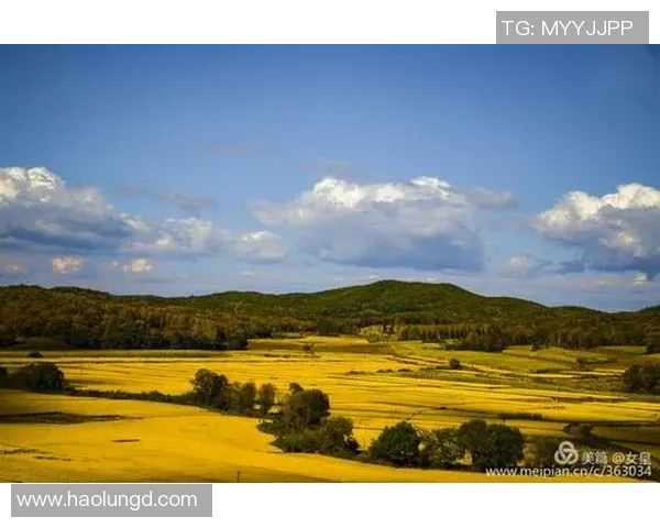 上海羽毛球队在钻石联赛中的逆袭之路与辉煌时刻全记录
