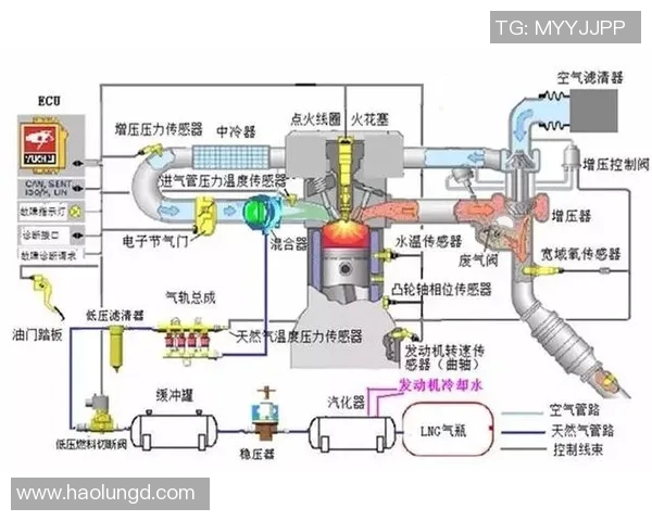 专业解析LNG整体压制策略及其在比赛中的应用与效果分析 专业解析LNG整体压制策略及其在比赛中的应用与效果分析