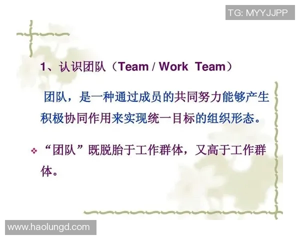 数据分析揭示BLG团队协作表现的优势与改进空间