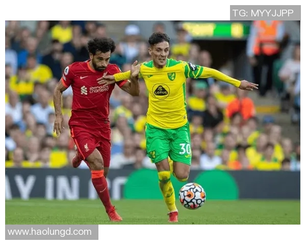 卢顿主场迎战诺维奇城期待精彩对决双方争夺英冠积分榜上佳位置