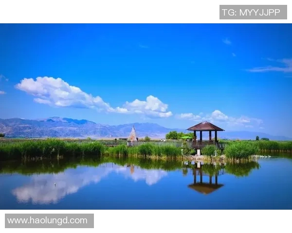 探索阿拉巴的魅力与文化深度体验之旅，感受独特风情与人文底蕴