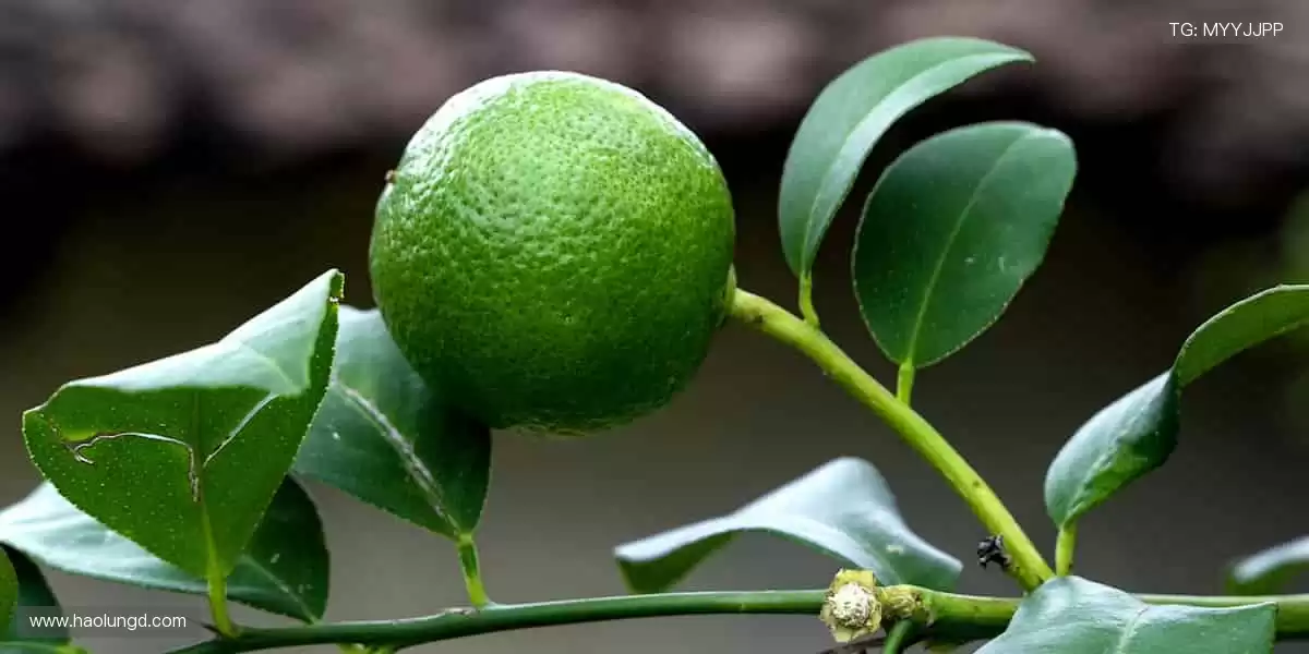 🚀 点击即达,开启你的体育梦想之旅!✨