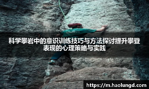 凤凰联盟平台注册