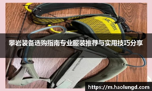 凤凰信誉联盟官方网站