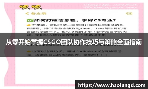 凤凰联盟官网入口