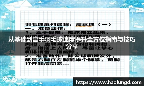 从基础到高手羽毛球速度提升全方位指南与技巧分享