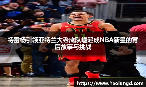 凤凰联盟官网