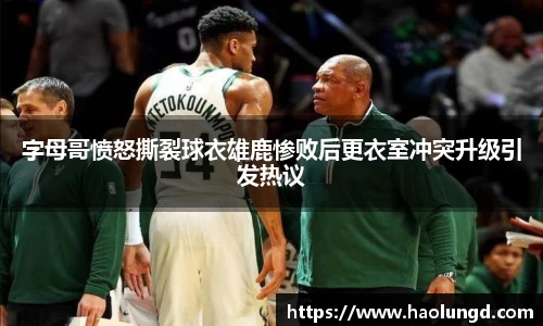 凤凰联盟官网入口