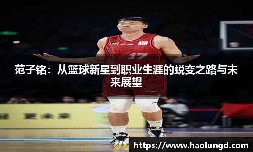 凤凰联盟官网入口